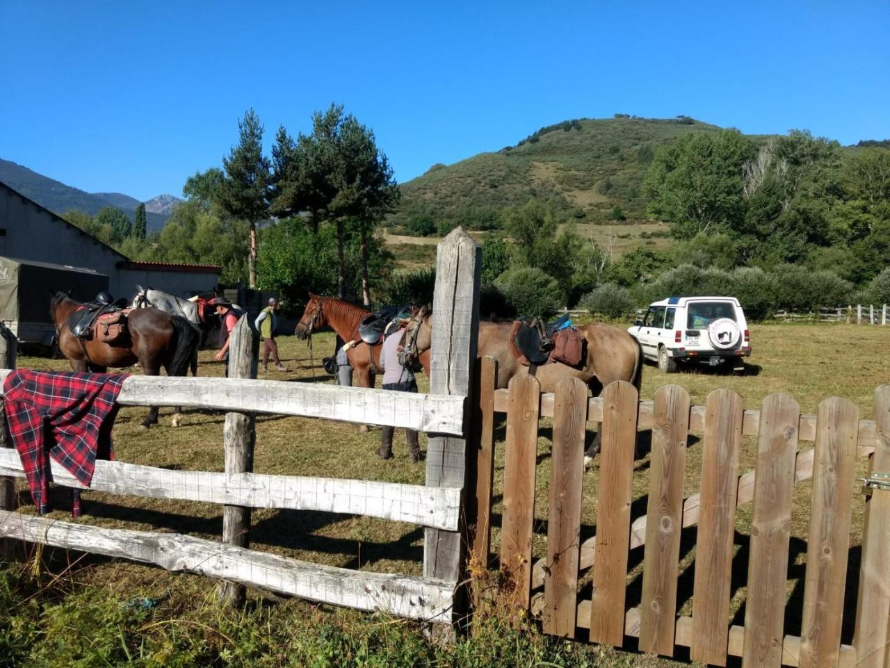 La Era Pensionat Lario Exteriör bild